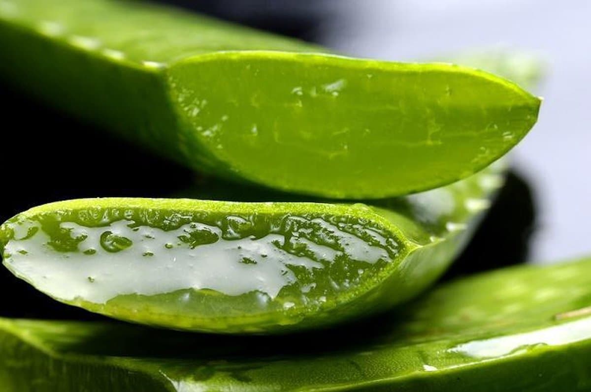 Wie Forever Freedom Dein Leben als unabhängiger Distributor von Forever Living Products verändern kann