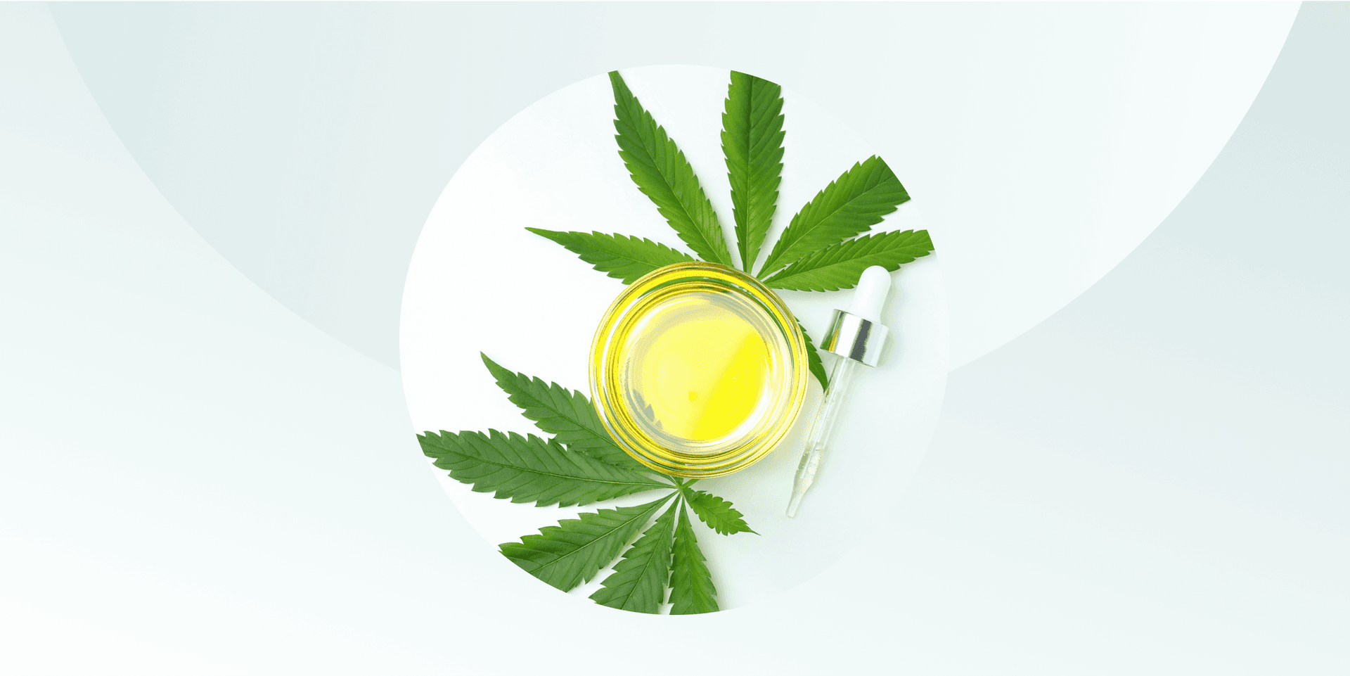 Heilmittel der Natur: Die wachsende Popularität und Vorteile von CBD-Öl