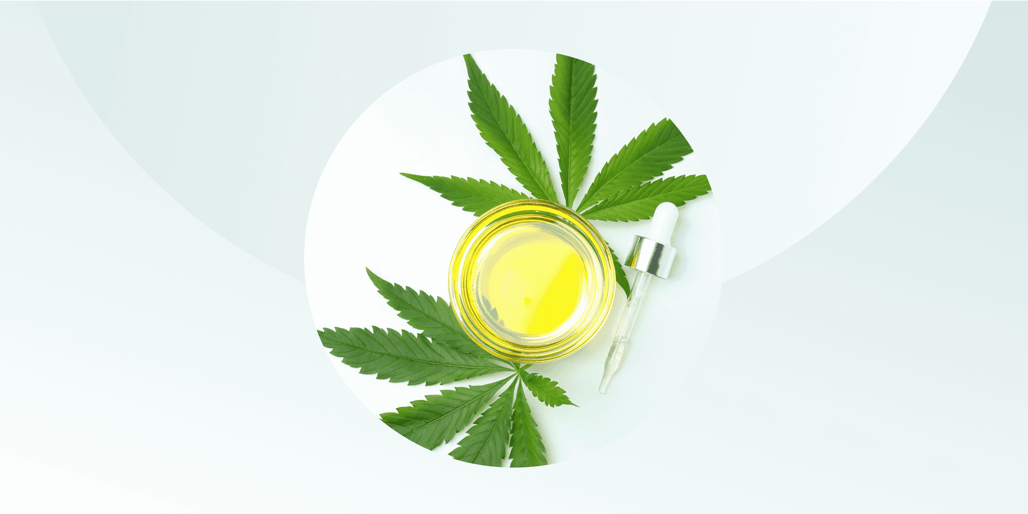 Heilmittel der Natur: Die wachsende Popularität und Vorteile von CBD-Öl