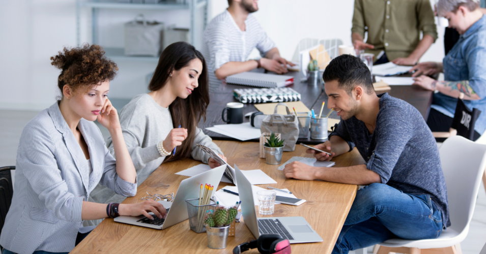 Professionelle Betreuung mit Webdesigner in Dortmund